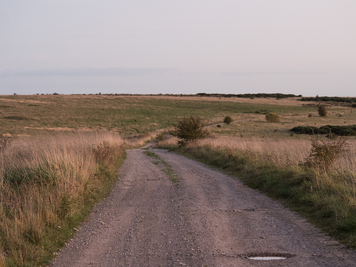 Old Salisbury-Devizes road
